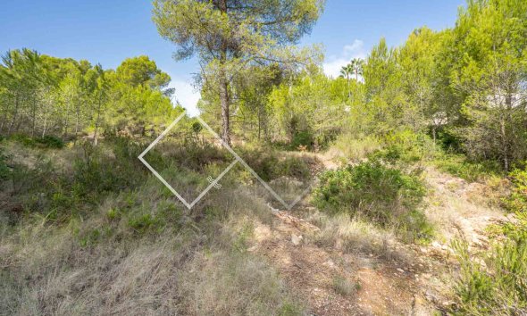  - Plots and Land - Javea - Pinosol