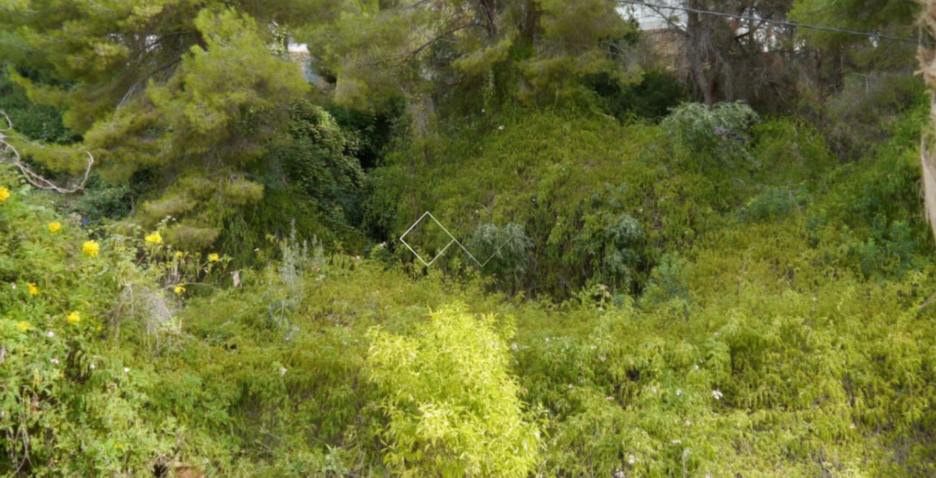  - Percelen en Land - Benissa - Buenavista