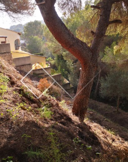  - Parcelles et Terrains - Benissa - Buenavista