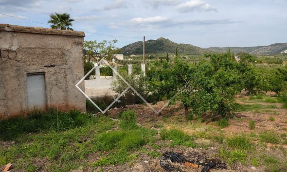  - Plots and Land - Murla