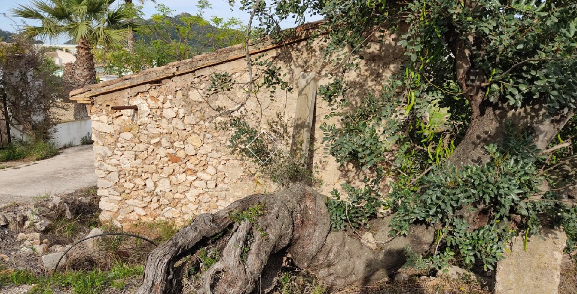  - Plots and Land - Murla