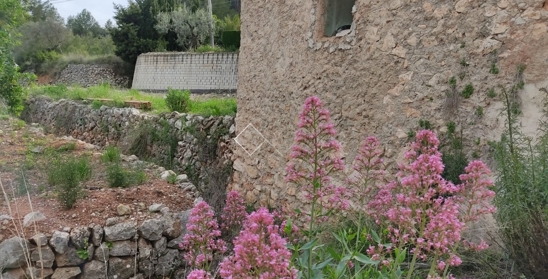  - Plots and Land - Murla