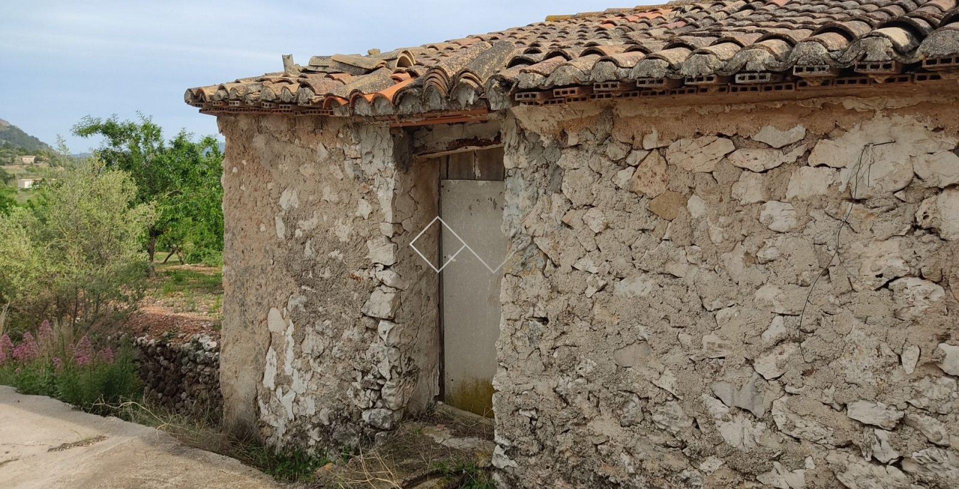  - Plots and Land - Murla