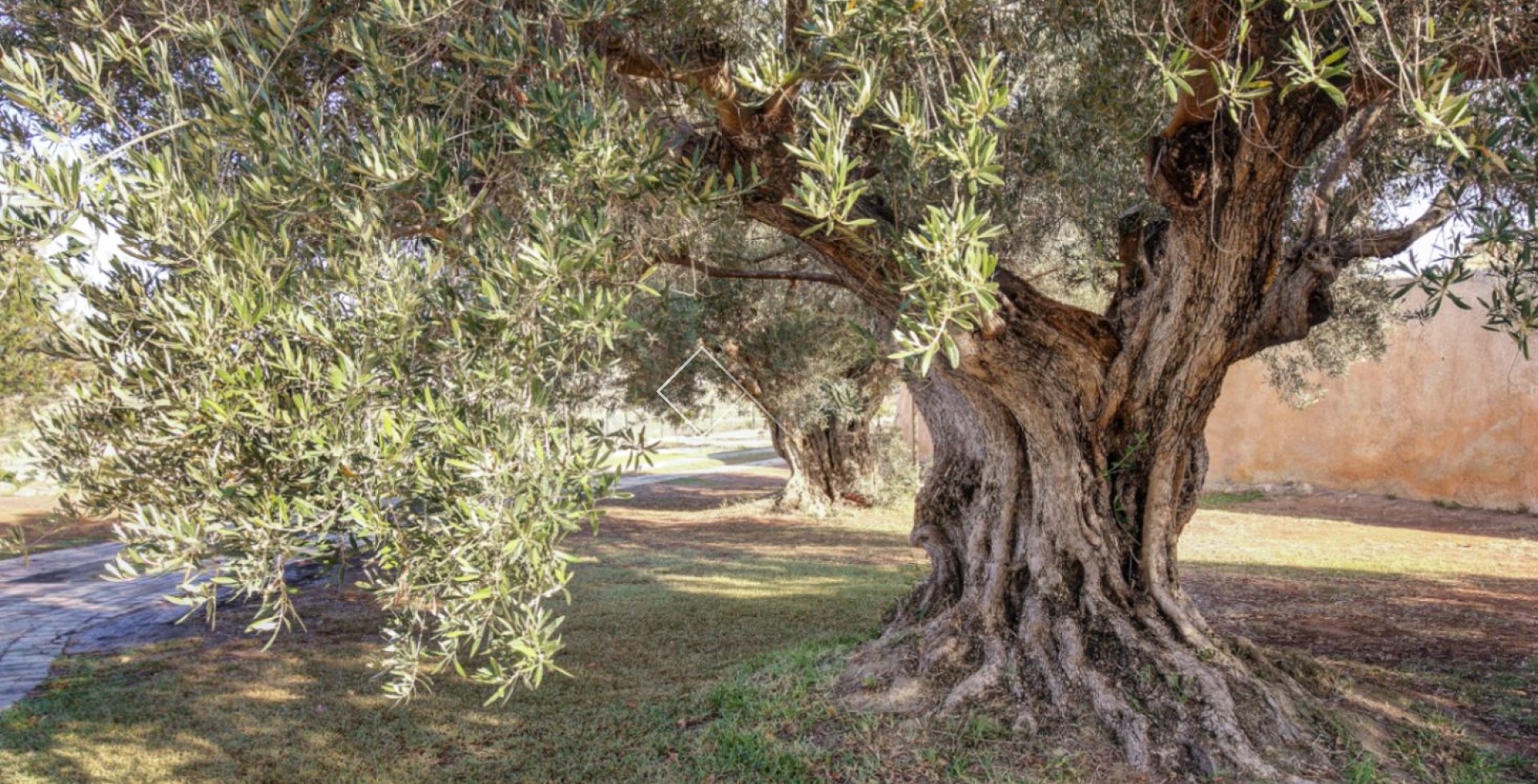 Resale - Finca - Moraira - Campo