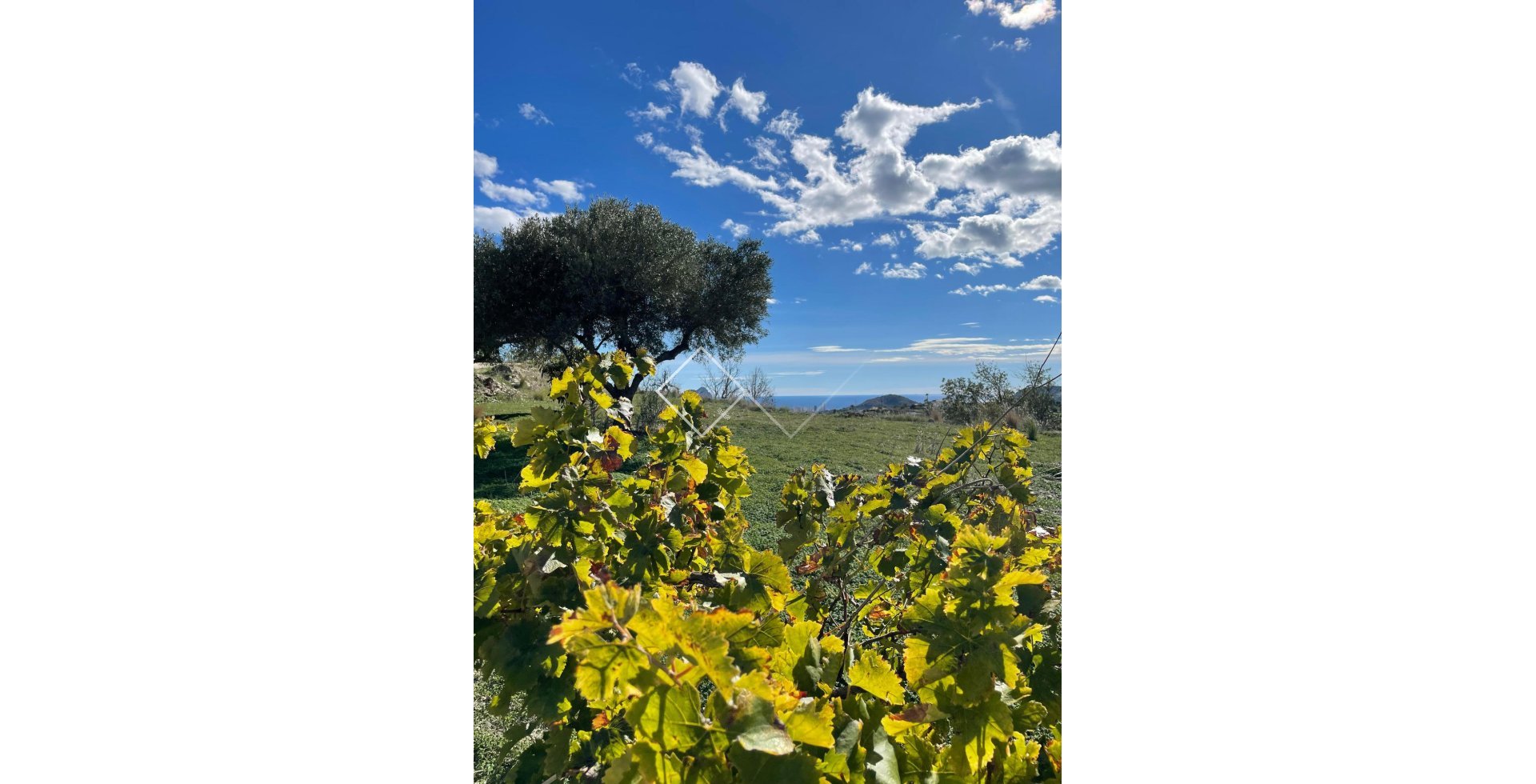  - country_house - Benissa - Casco Urbano