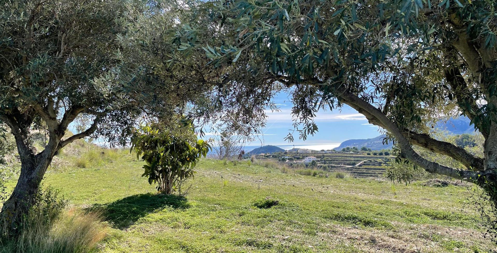  - country_house - Benissa - Casco Urbano