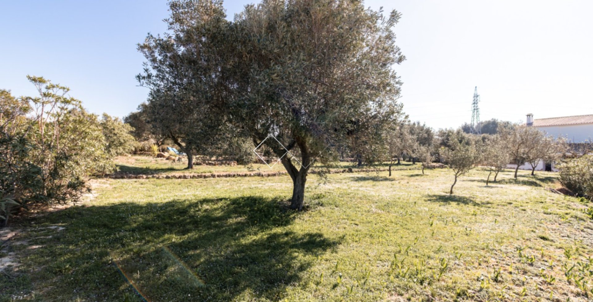  - Finca - Teulada - Partida Canor