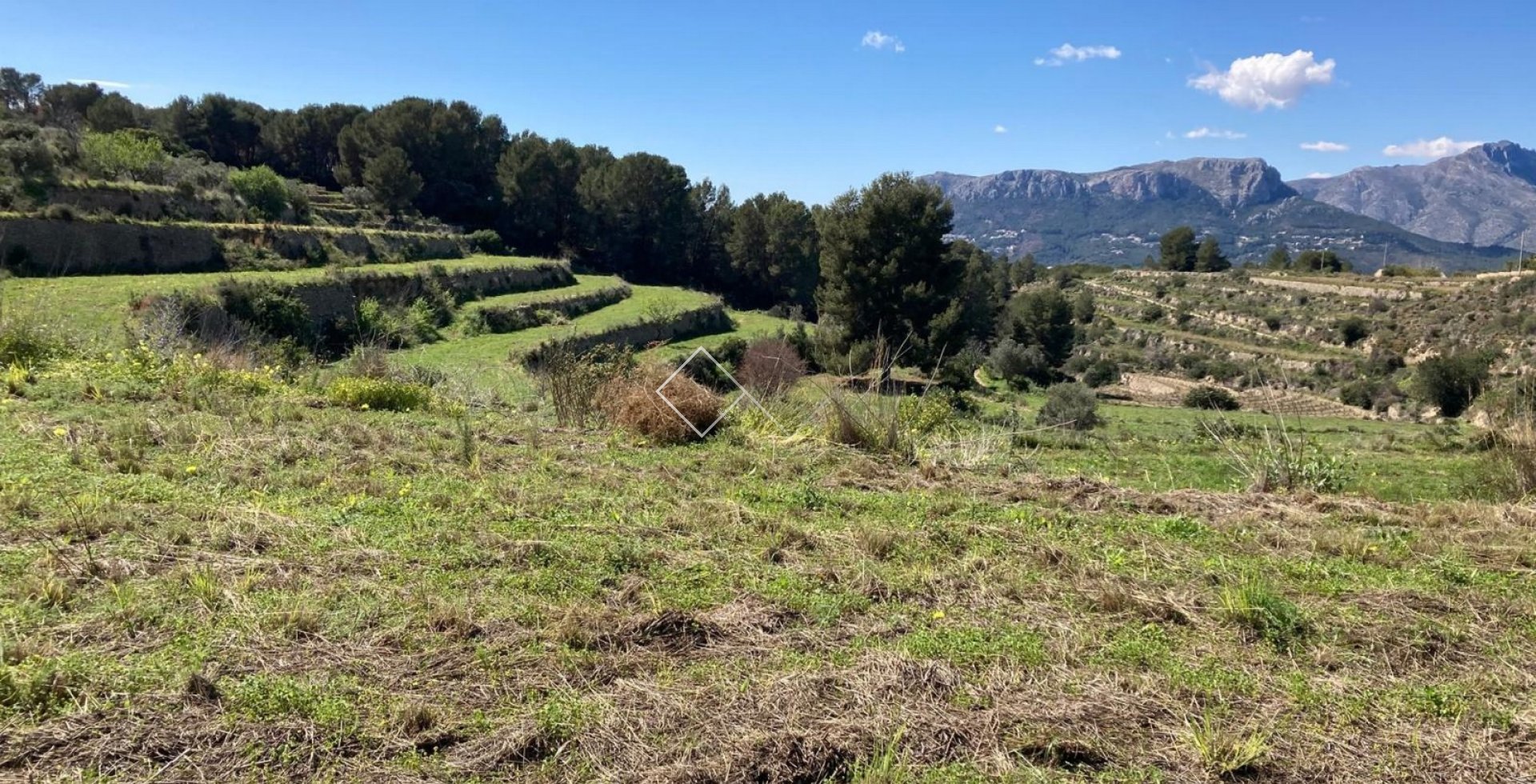  - terrain - Benissa - Partida Biasner