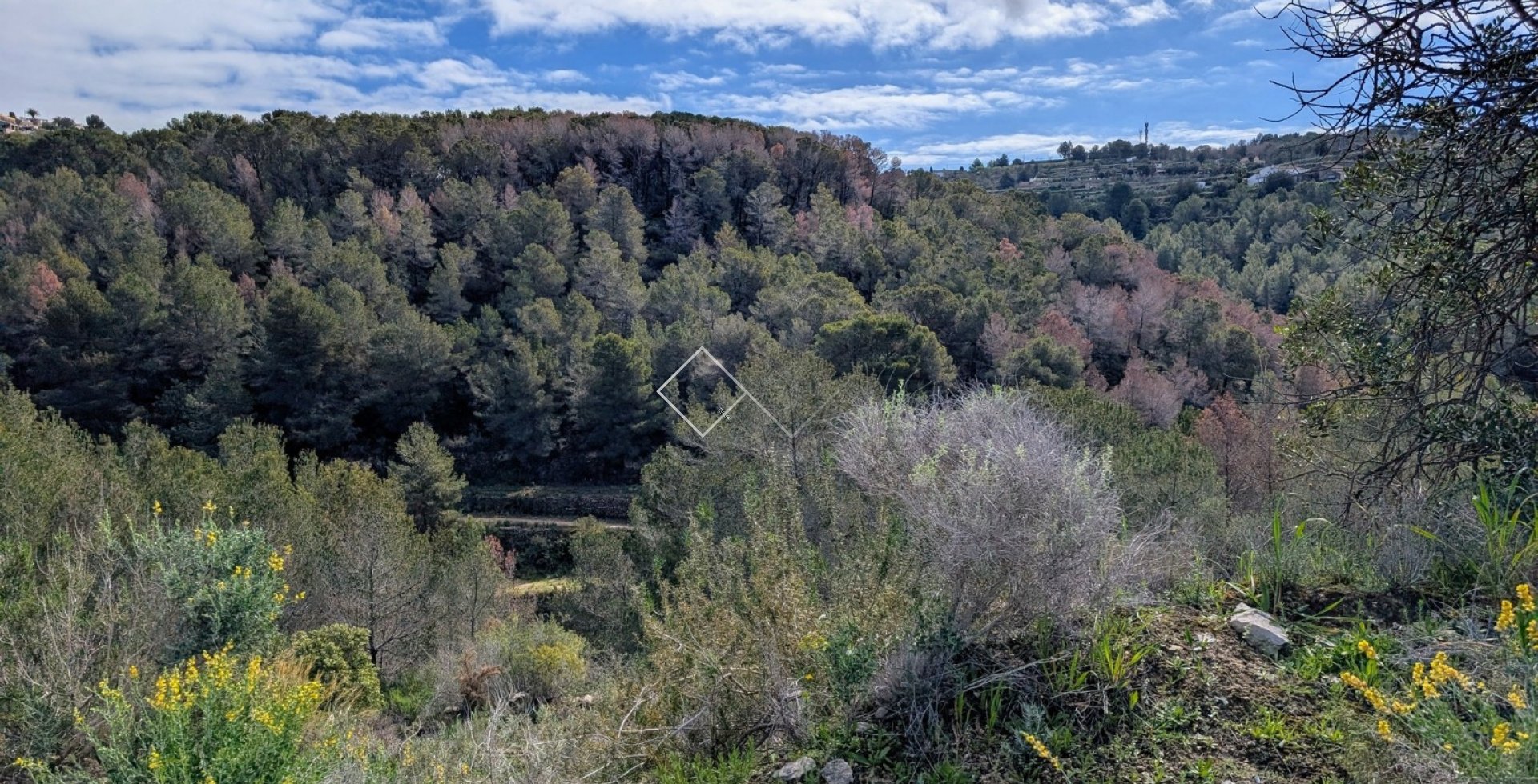  - terrain - Benissa - Partida Biasner