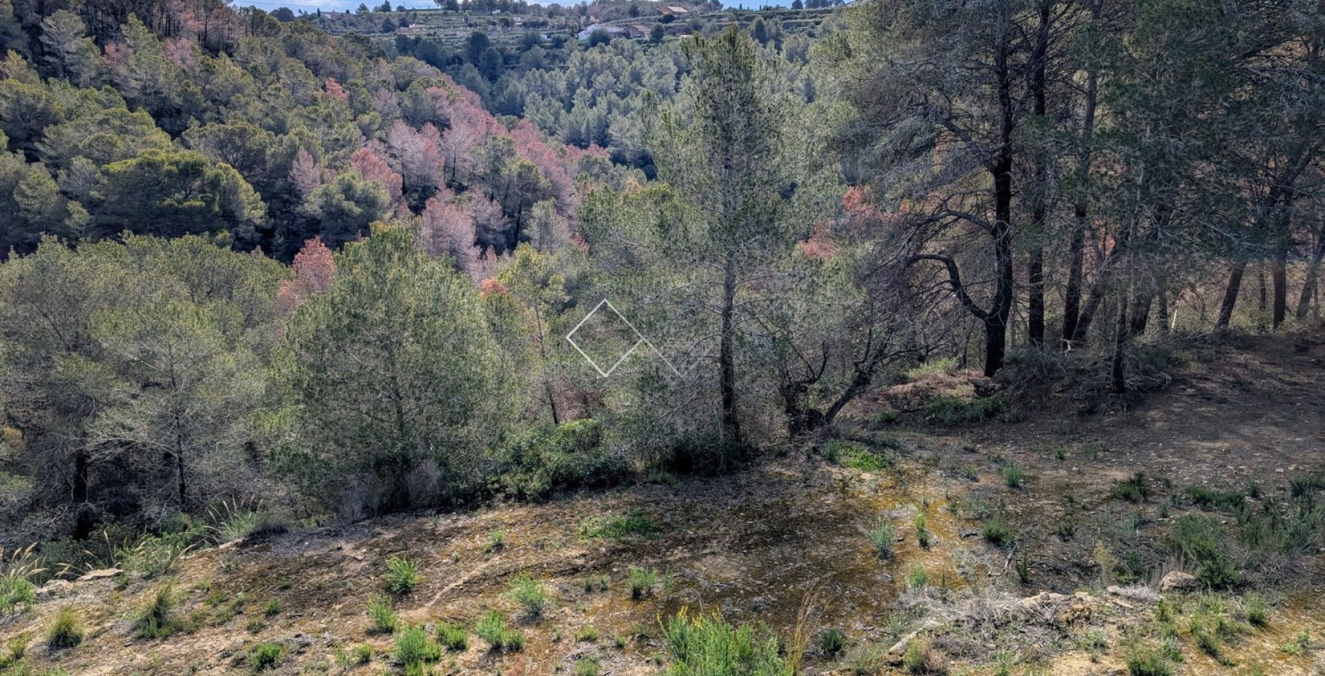  - terrain - Benissa - Partida Biasner