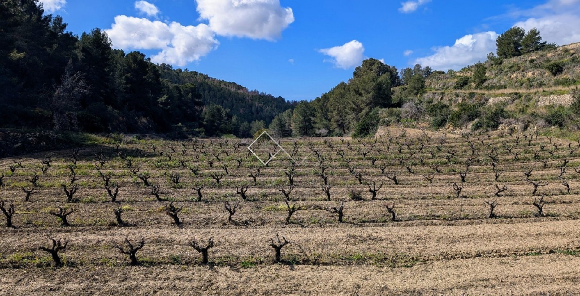  - terrain - Benissa - Partida Biasner