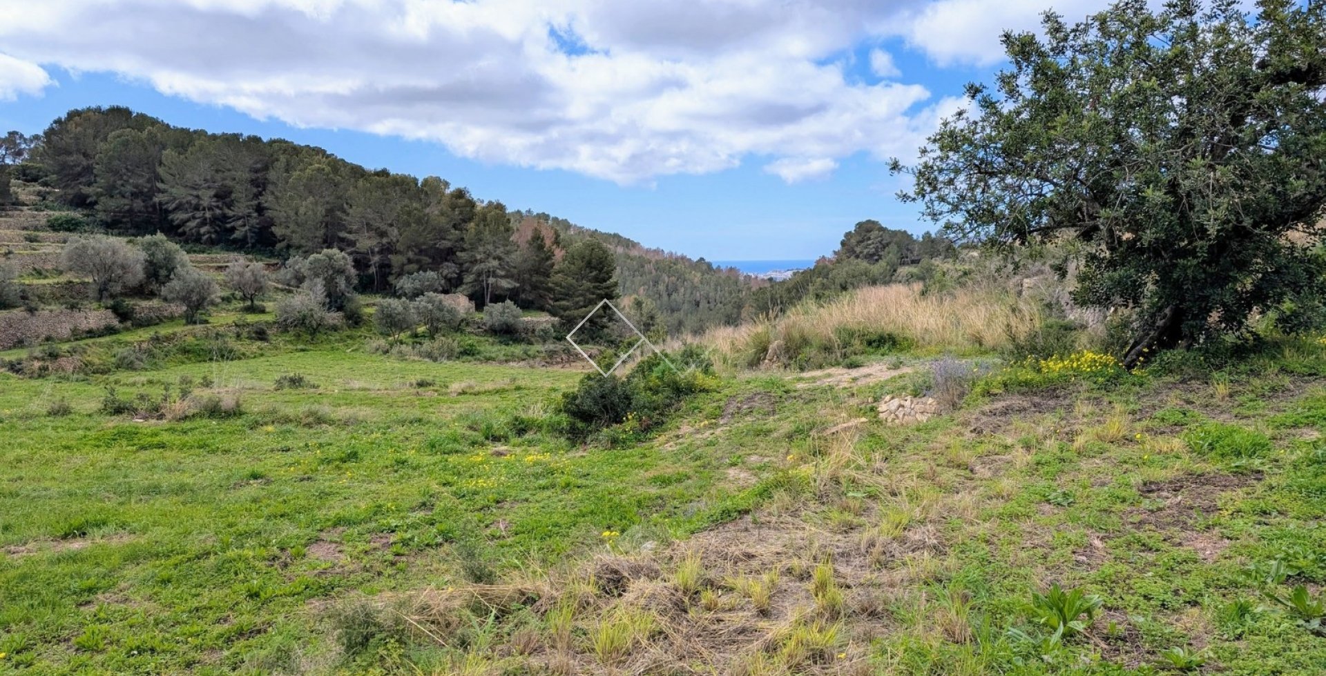  - terrain - Benissa - Partida Biasner