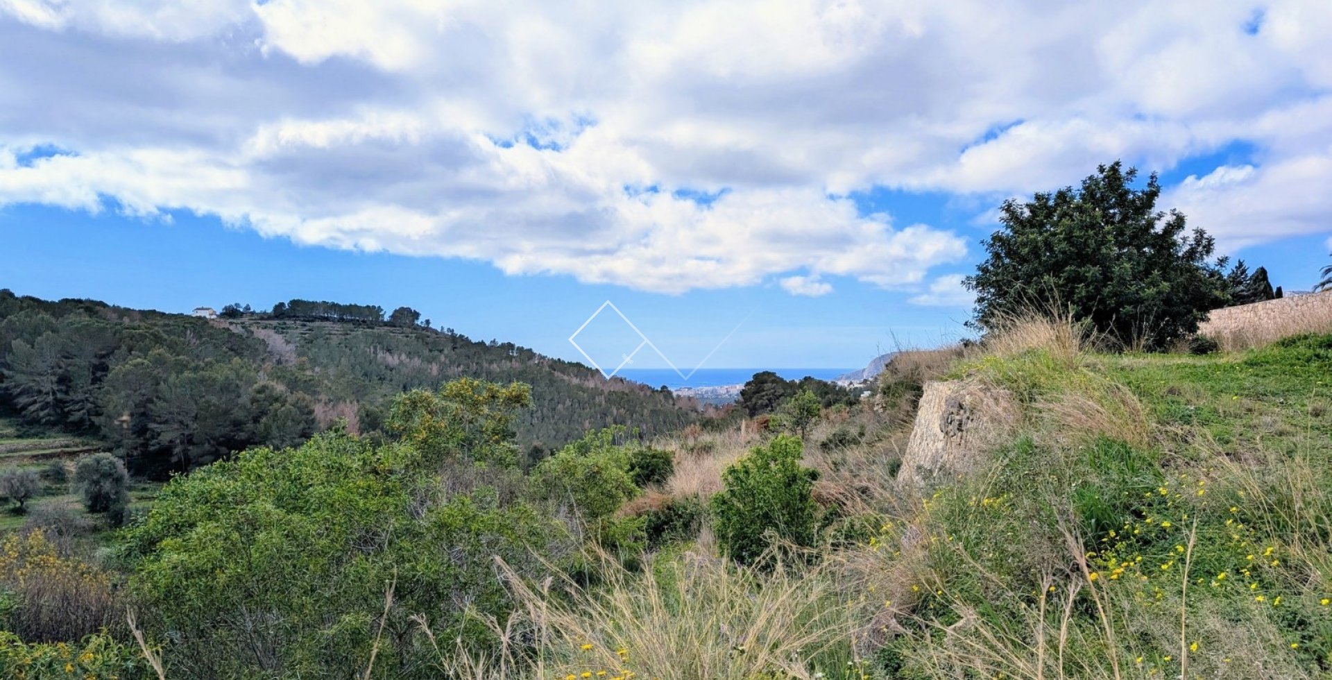  - terrain - Benissa - Partida Biasner