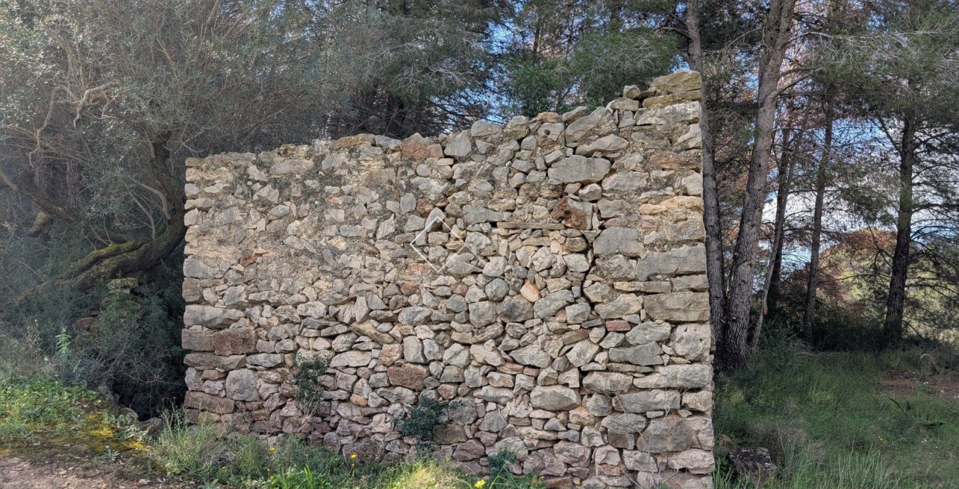  - terrain - Benissa - Partida Biasner