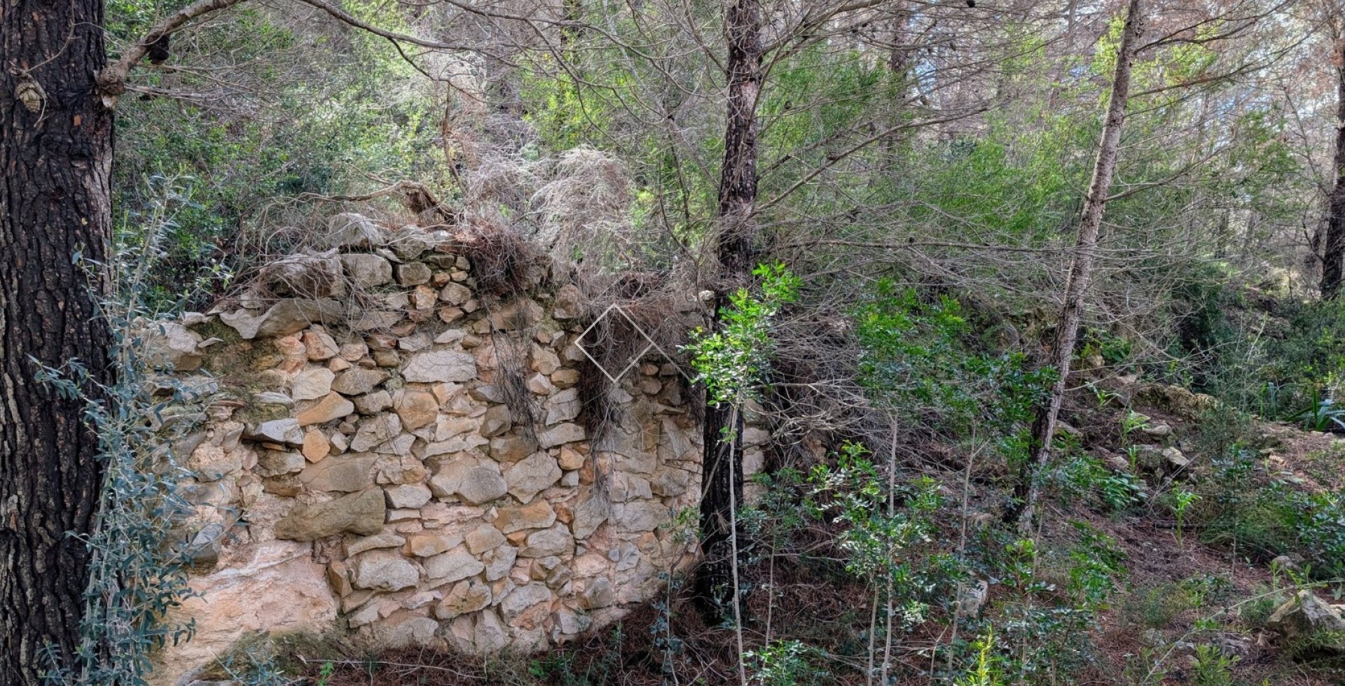  - terrain - Benissa - Partida Biasner