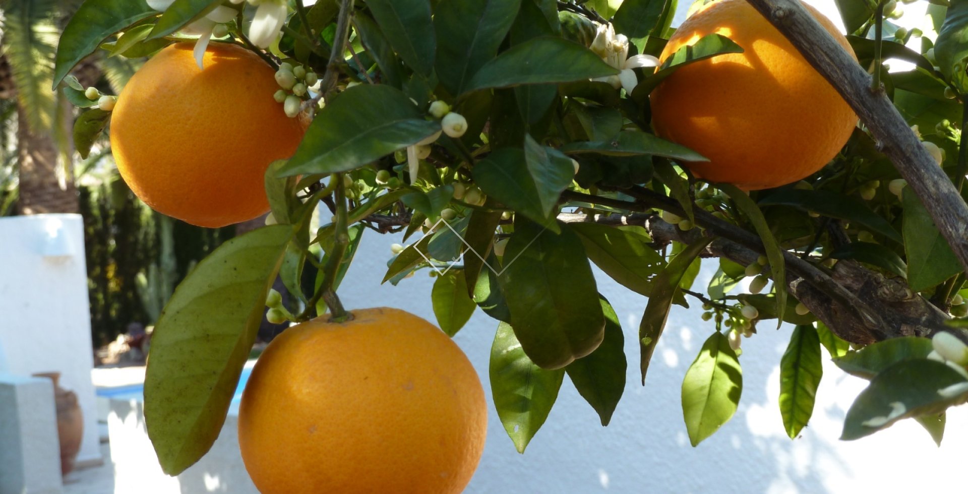 Resale - Villa - Moraira