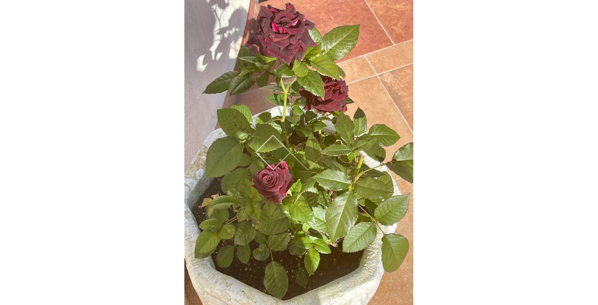 Reventa - Villa - Moraira - Benimeit