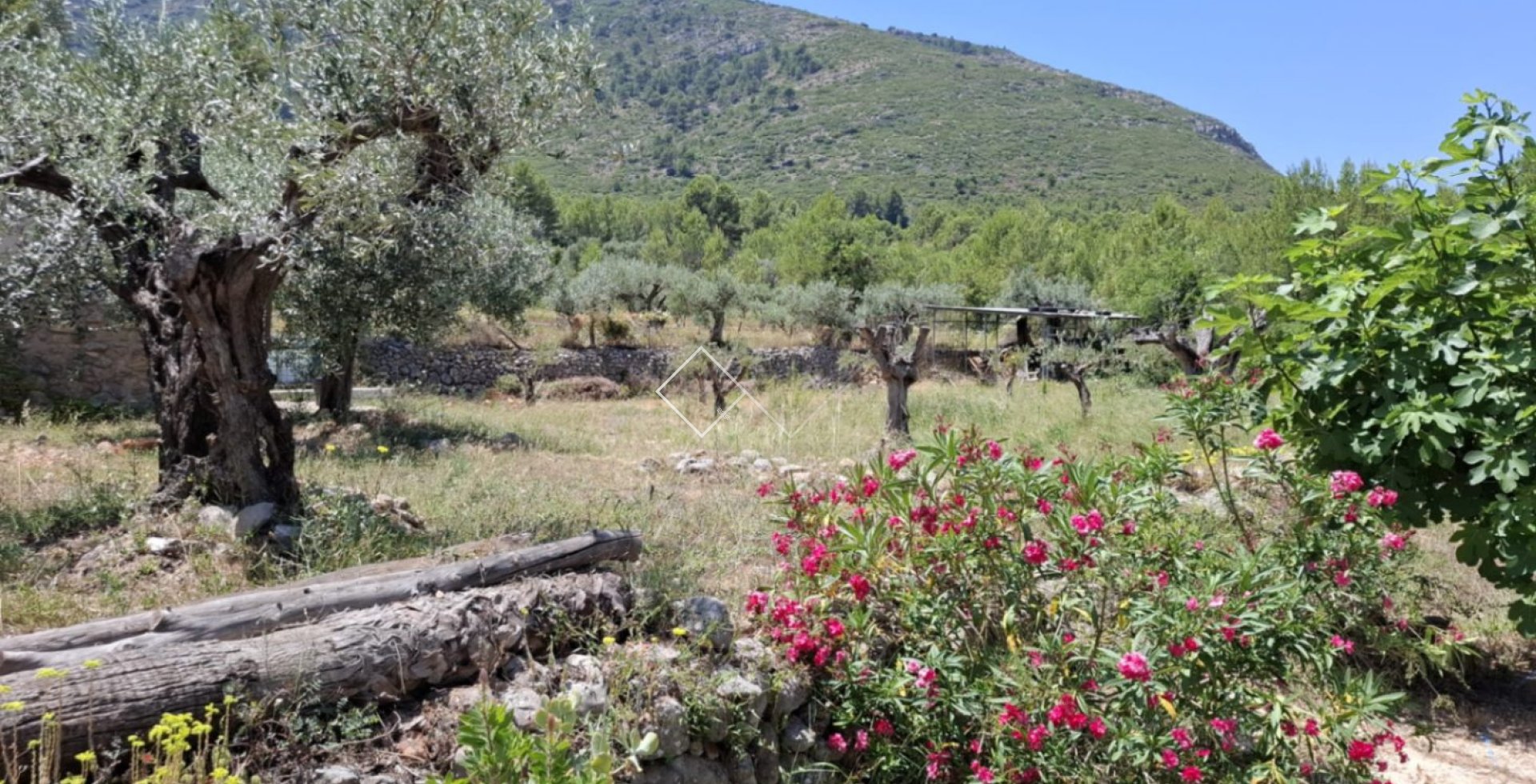  - Finca - Parcent
