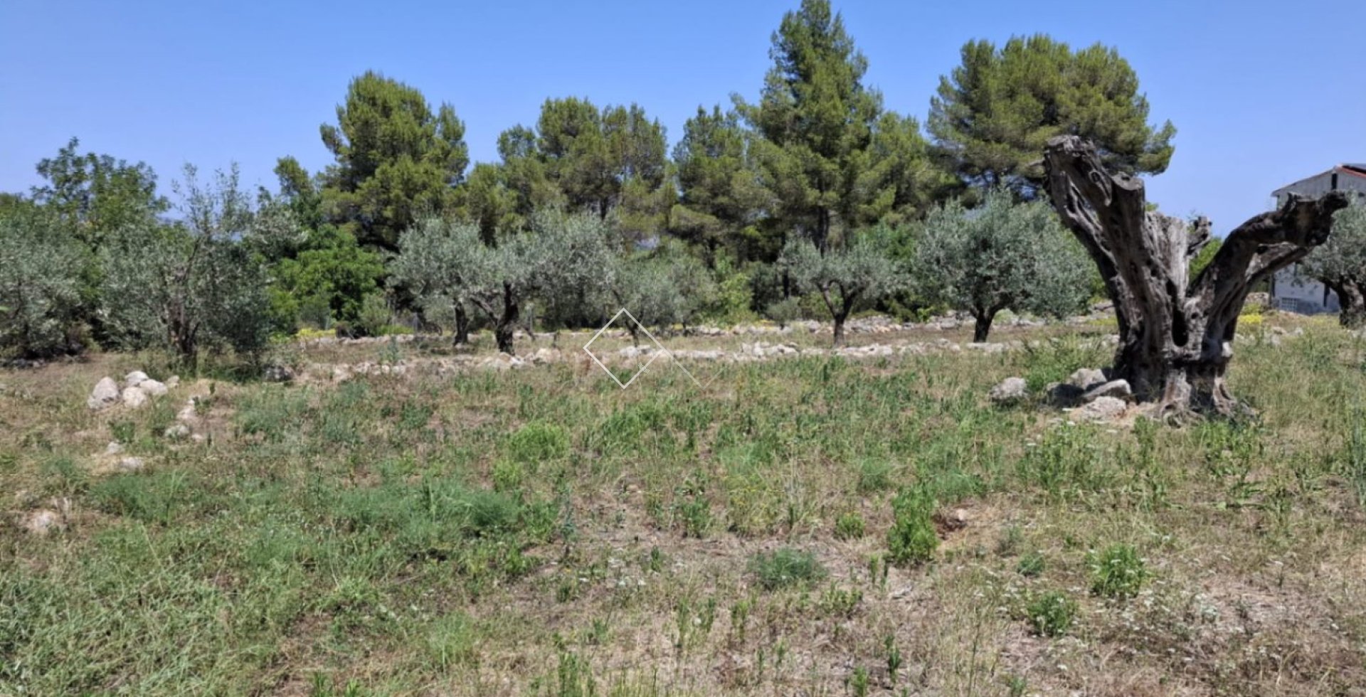  - Finca - Parcent