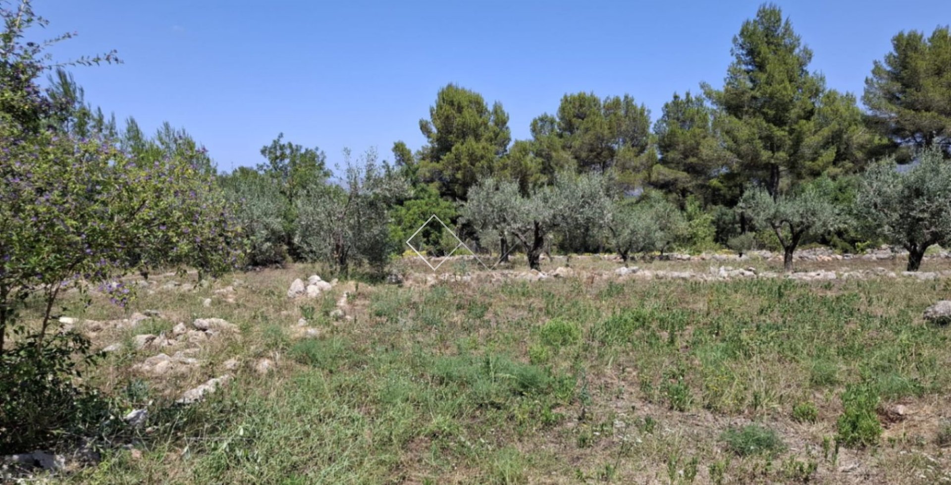  - Finca - Parcent