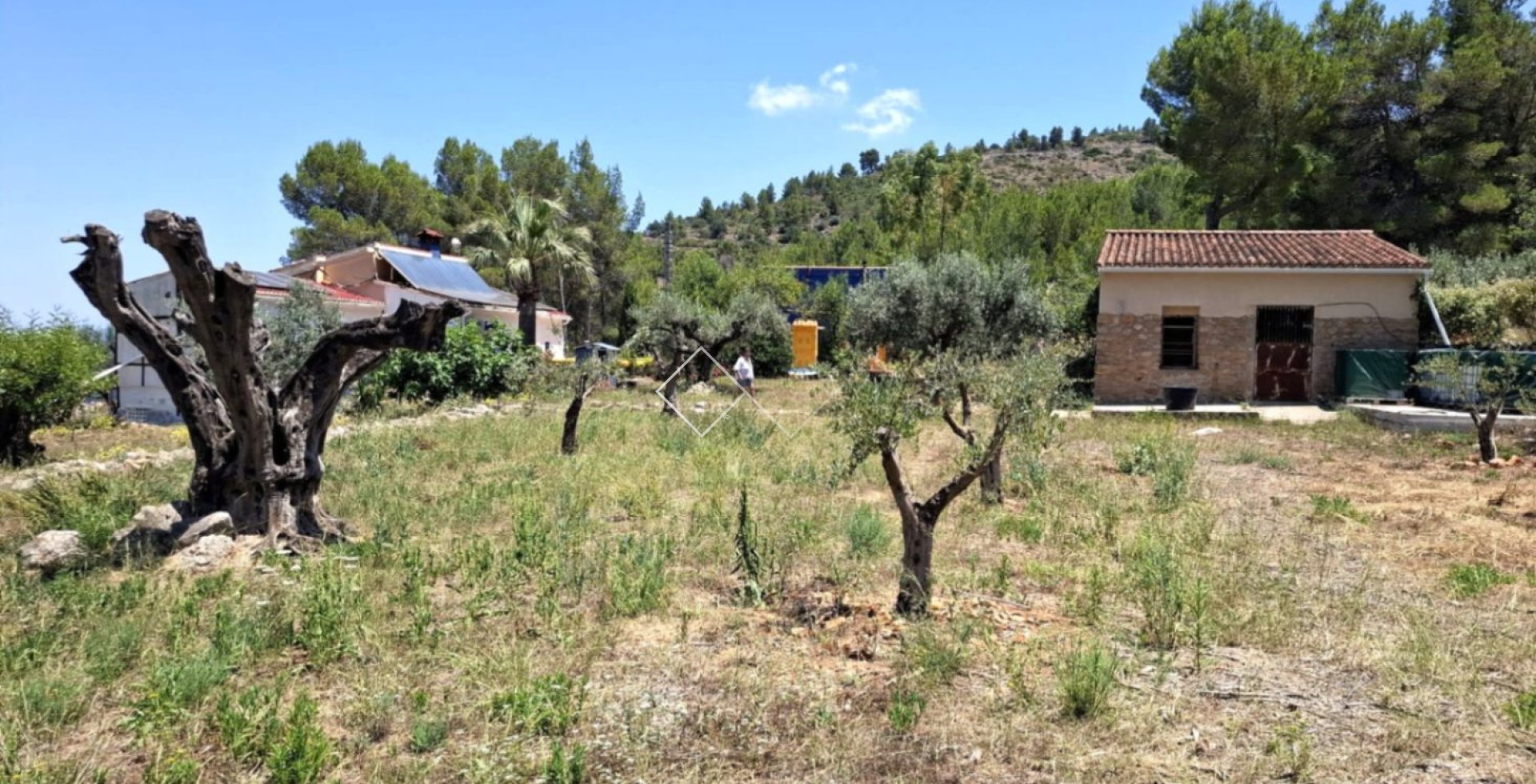  - Finca - Parcent