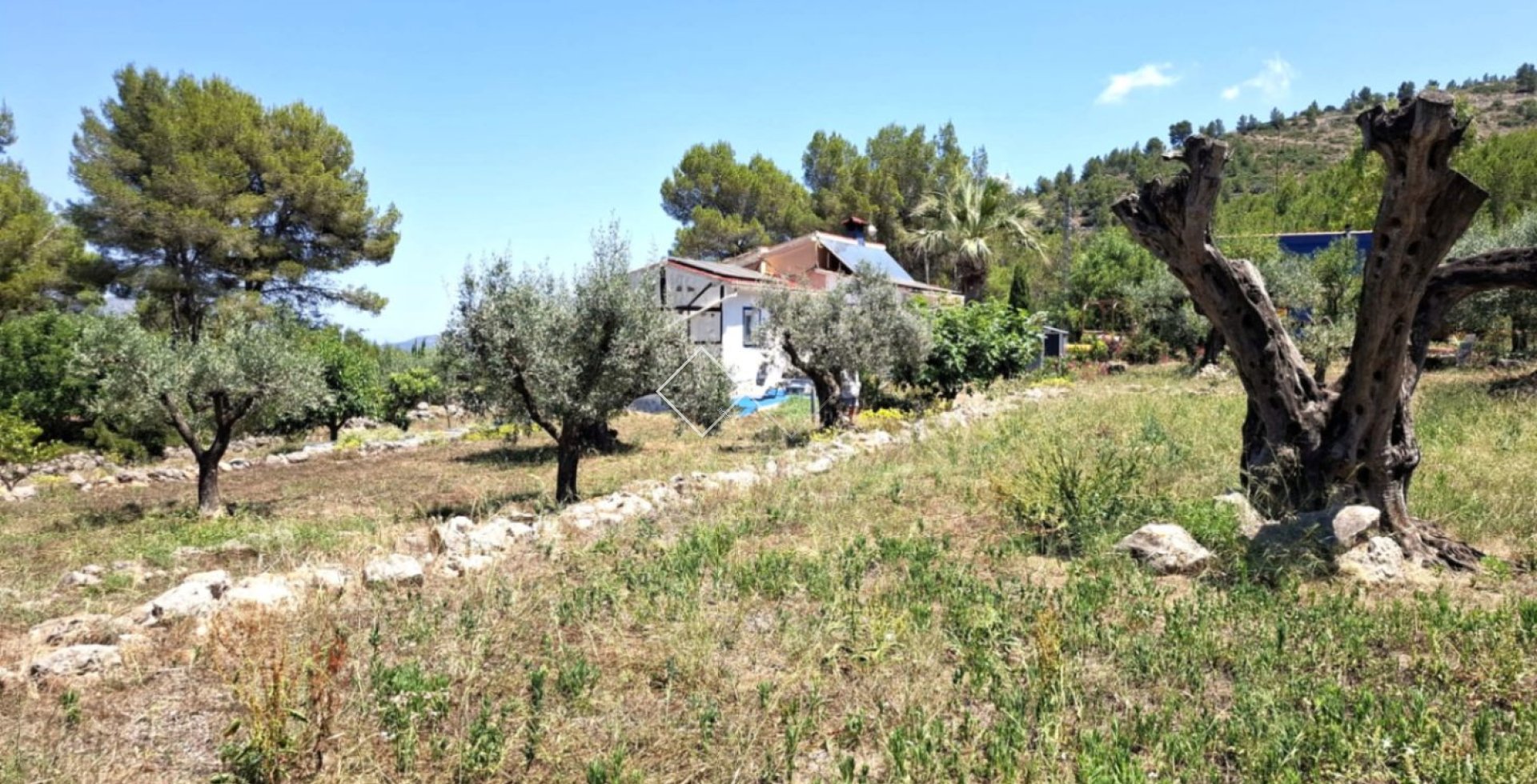 - Finca - Parcent