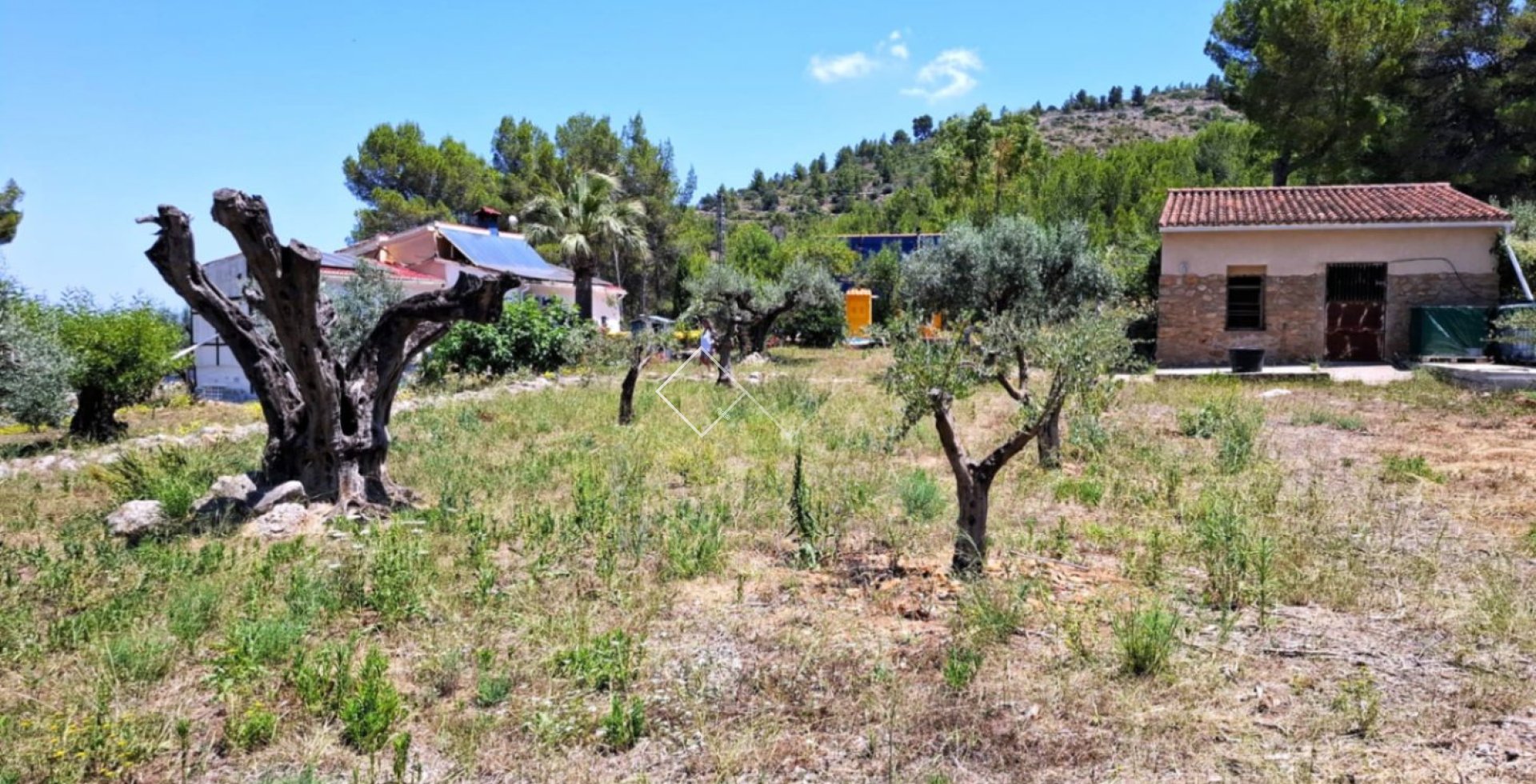  - Finca - Parcent