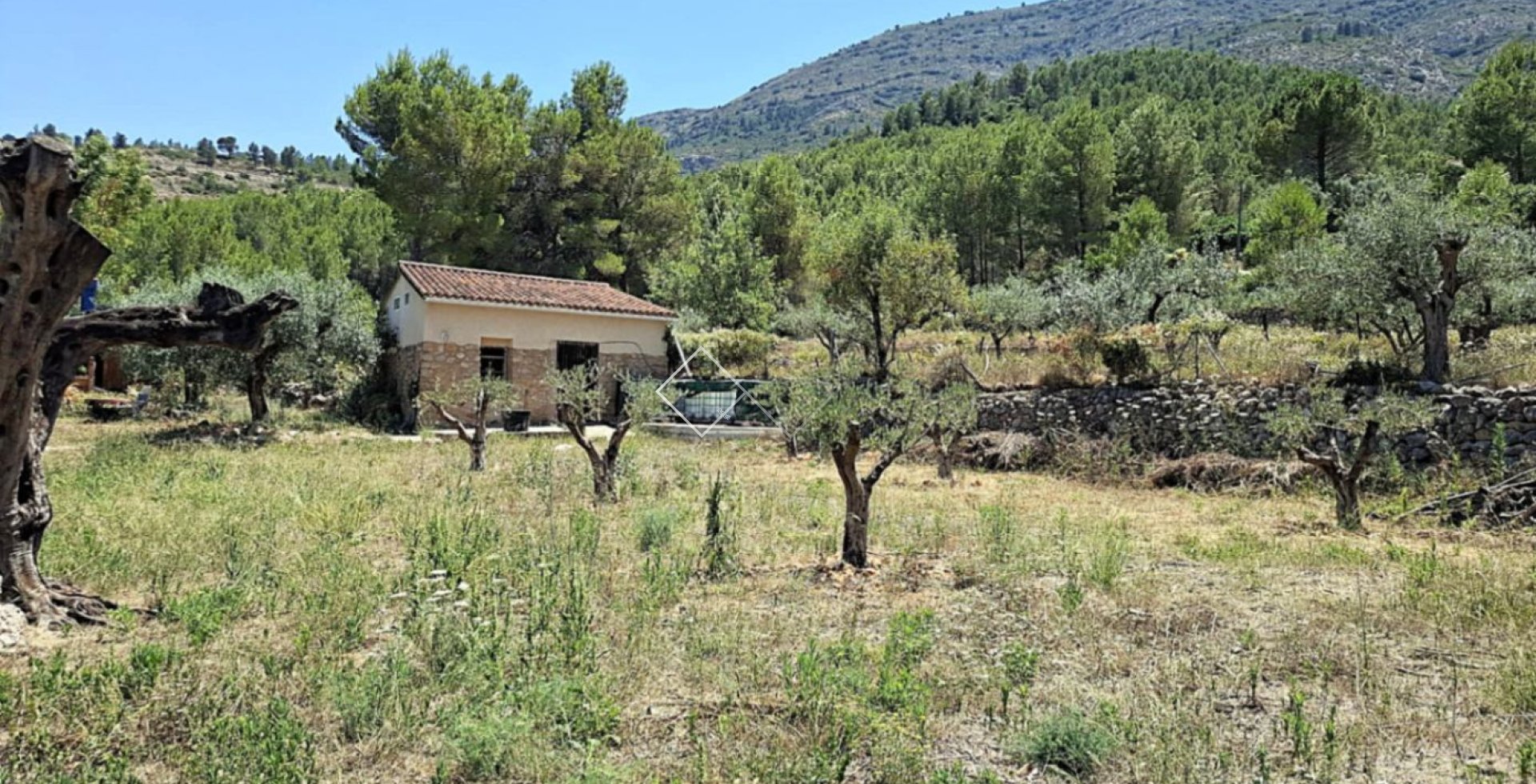  - Finca - Parcent